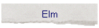 Elm