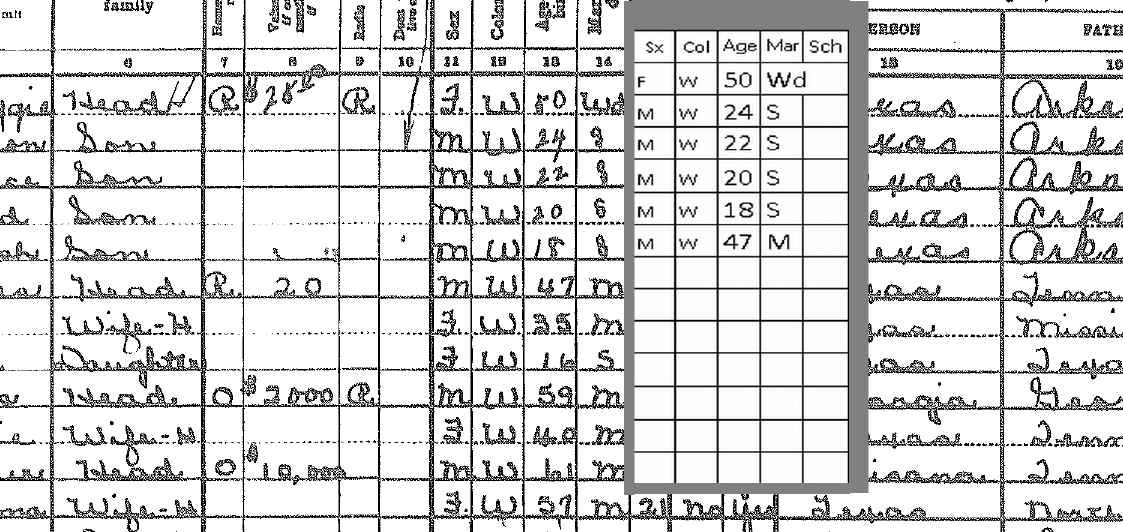 Wise County Texas 1940 Census Template and Transcription Information